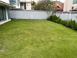 Braddell Heights Estate (D13), Detached #553522651